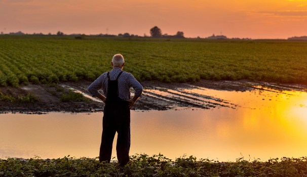 Image of a farmer looking out to his flooded field.